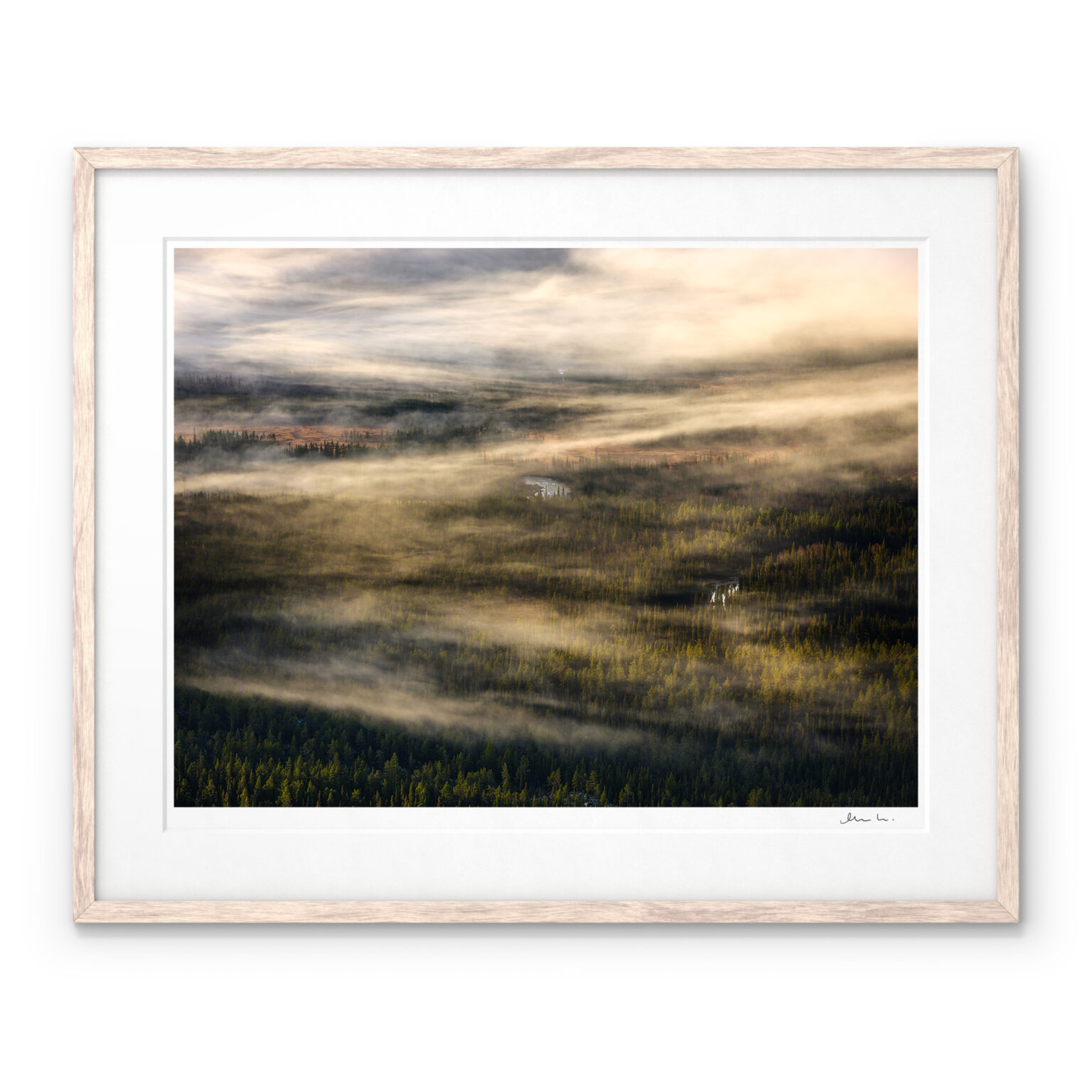Mist Forest Landscape Sarek National Park Art Print by Magnus Lindbom