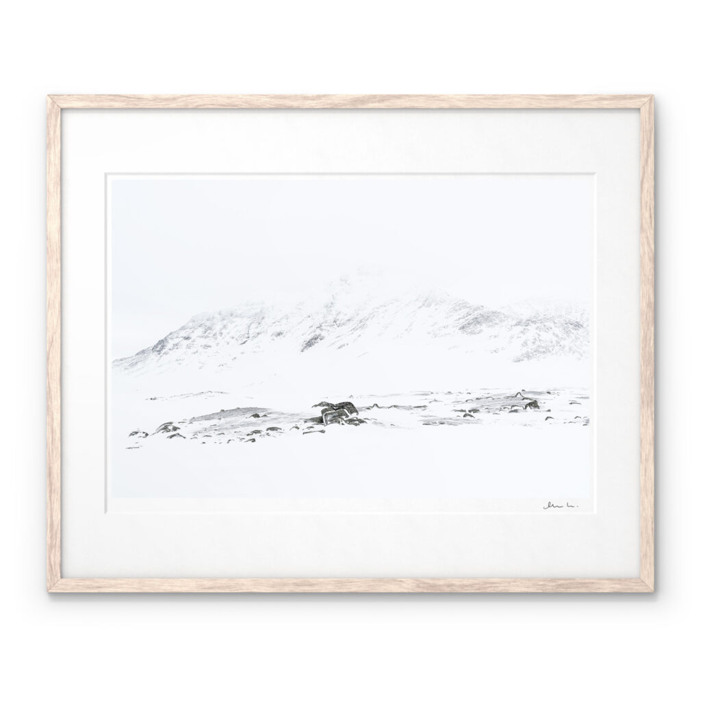 Whiteout Bierikbakte Landscape Sarek National Park Art Print by Magnus Lindbom