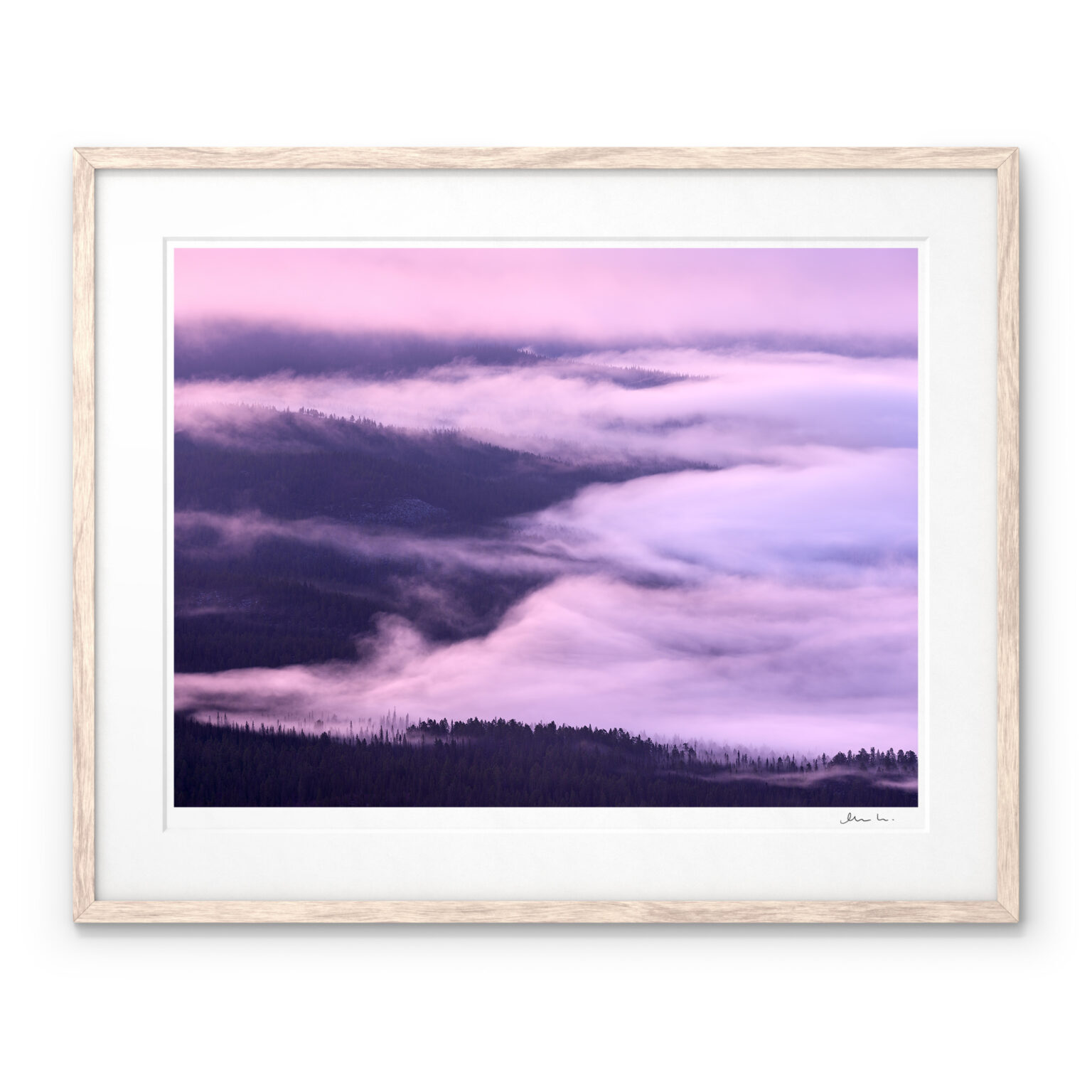 Old Growth Forest Kvikkjokk Sarek National Park Art Print by Magnus Lindbom