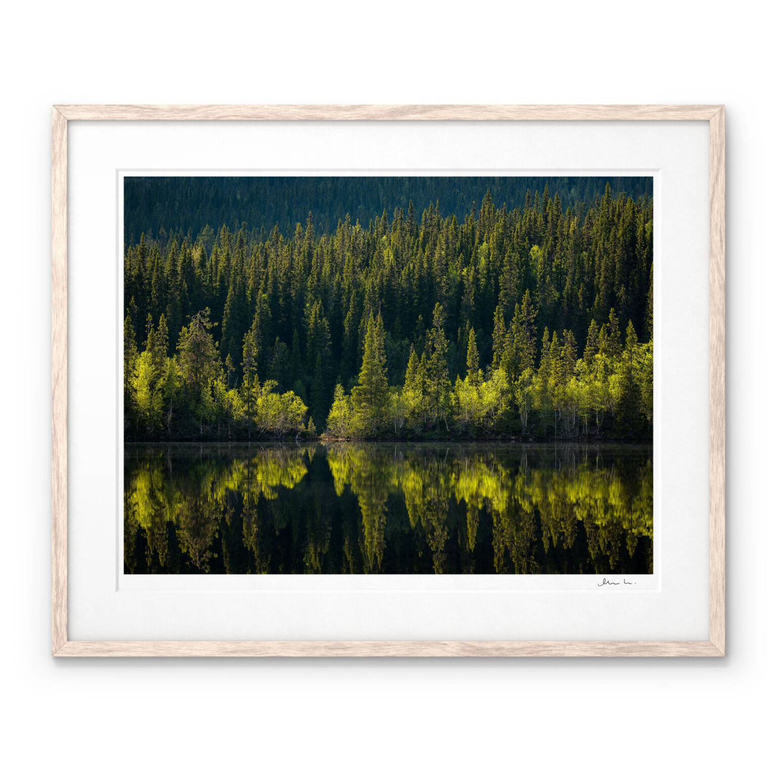 Birch and Spruce Forest Jougdadalen Jämtland Art Print by Magnus Lindbom