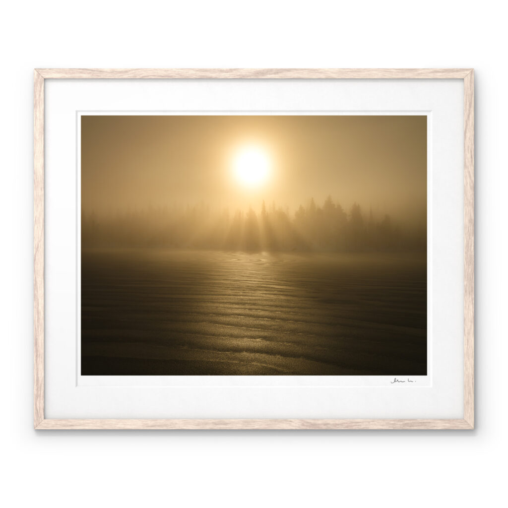 A Signed Art Print with the winter sun rising above the old forest of Hotagens Nature Reserve in Jämtland.