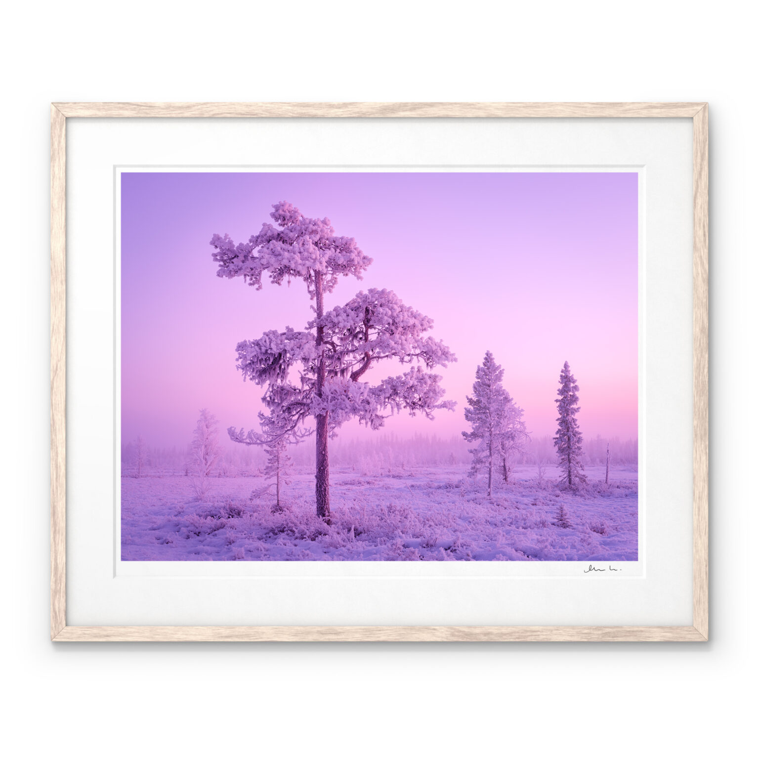 A Signed Art Print of "Frozen Dream" captured in Muddus National Park, Lapland, Sweden.