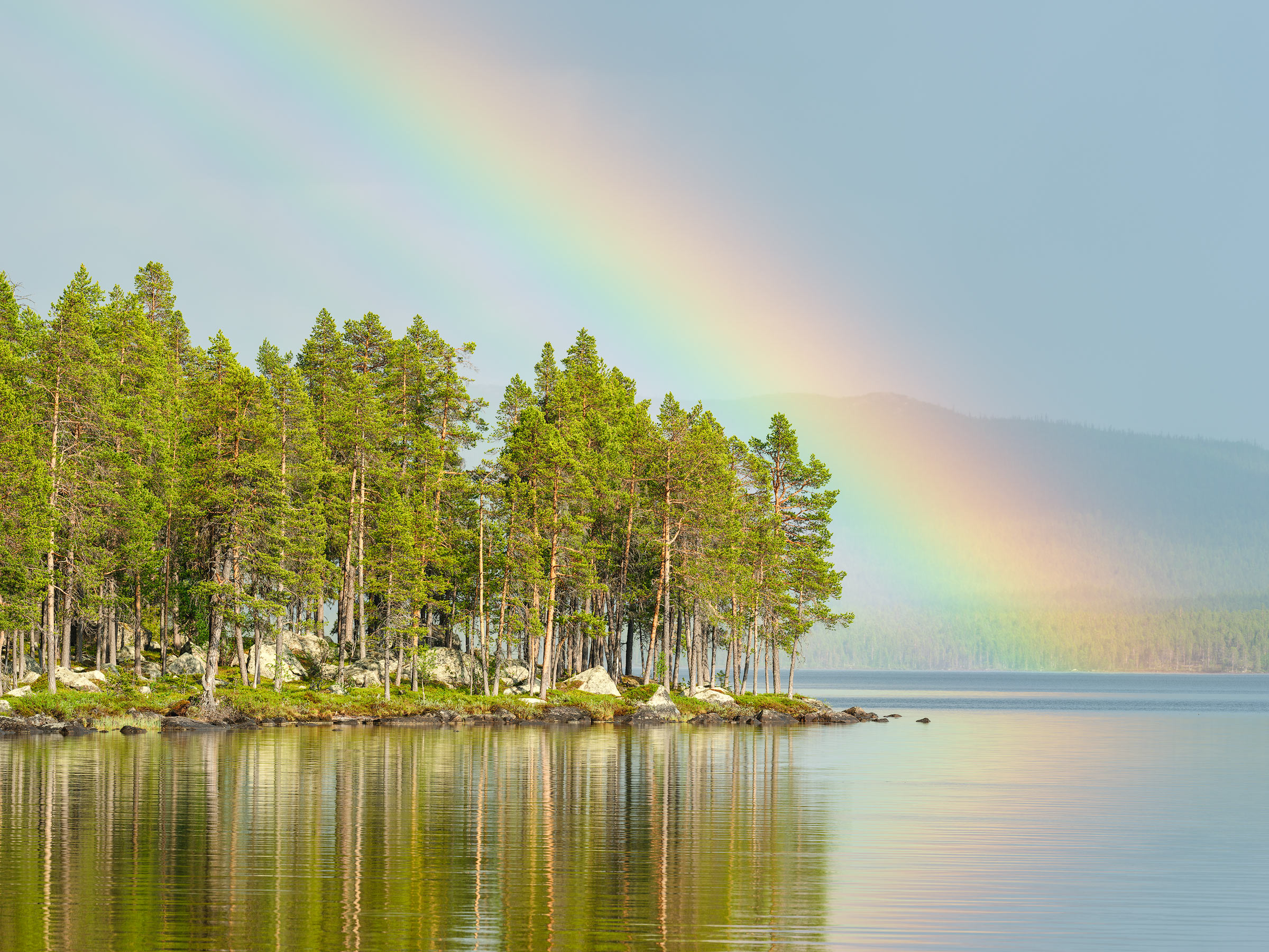 A rainbow over the pine forest of Pärlälvens Nature Reserve near Jokkmokk in Lapland, Sweden.