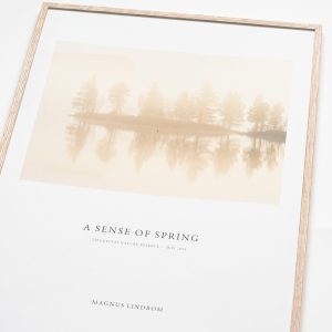 Poster – A Sense of Spring